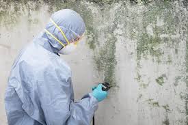 Why You Should Choose Our Mold Remediation Services in Corydon, IN